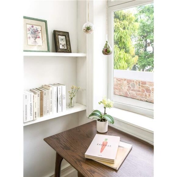 Mkono 2 Pack Glass Hanging Planter Air Fern Holder Terrarium Plants Hanger Vase - Picture 3 of 8